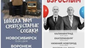 Ирония, Осетия и старые собаки: как не стать взрос