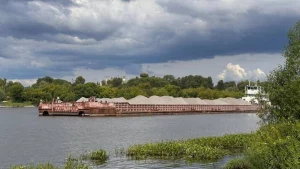 Экологические и налоговые нарушения стали причиной