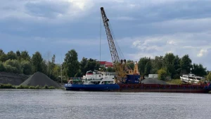 Вместо вложений в развитие &mdash; нелегальная перевалка
